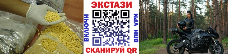 Ecstasy Philipp Plein  блэк спрут маркетплейс  Нестеров 