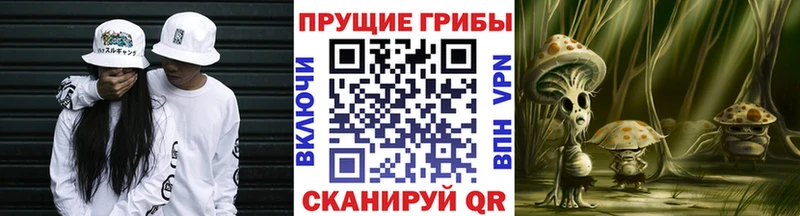 Псилоцибиновые грибы Cubensis ссылка на мегу зеркало Нестеров